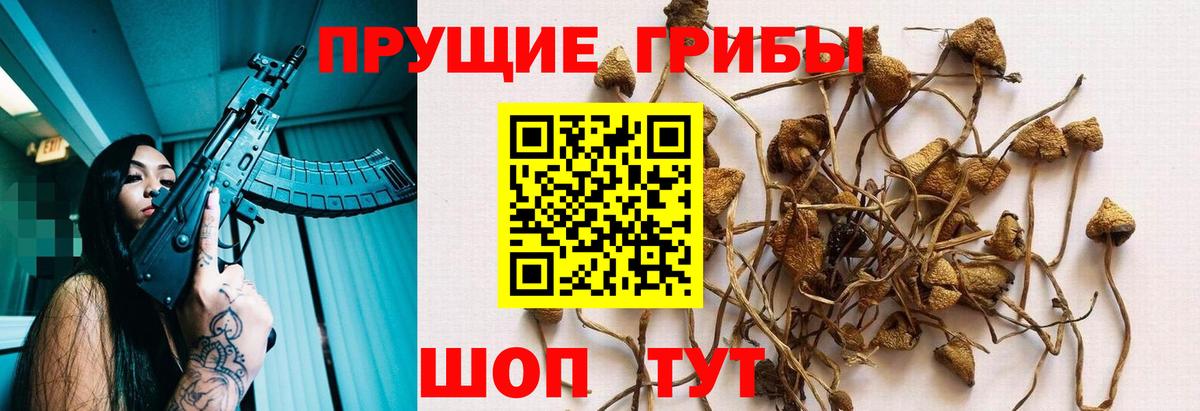 Галлюциногенные грибы ЛСД  продажа наркотиков  Магадан  Вход с VPN 