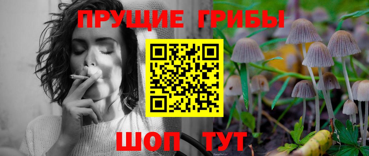 Галлюциногенные грибы мухоморы Магадан